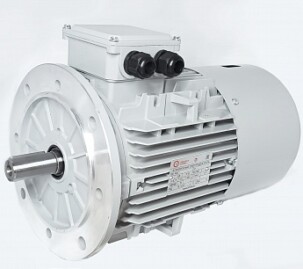 Электродвигатели АИС100LB-4-Е 3kW F IP55 V220/380/50